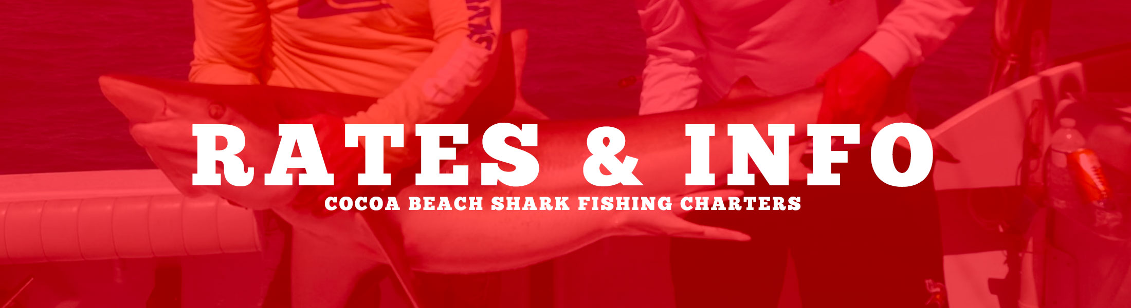Get rates and information on the #1 shark fishing charter in Cocoa Beach Florida.